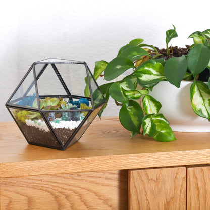 7” Black Glass Succulent Terrarium Kit | Geometric - Tampa Home & Garden Store