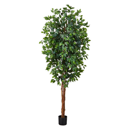 7' Ficus Silk Tree - Tampa Home & Garden Store