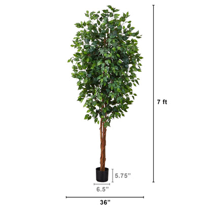 7' Ficus Silk Tree - Tampa Home & Garden Store