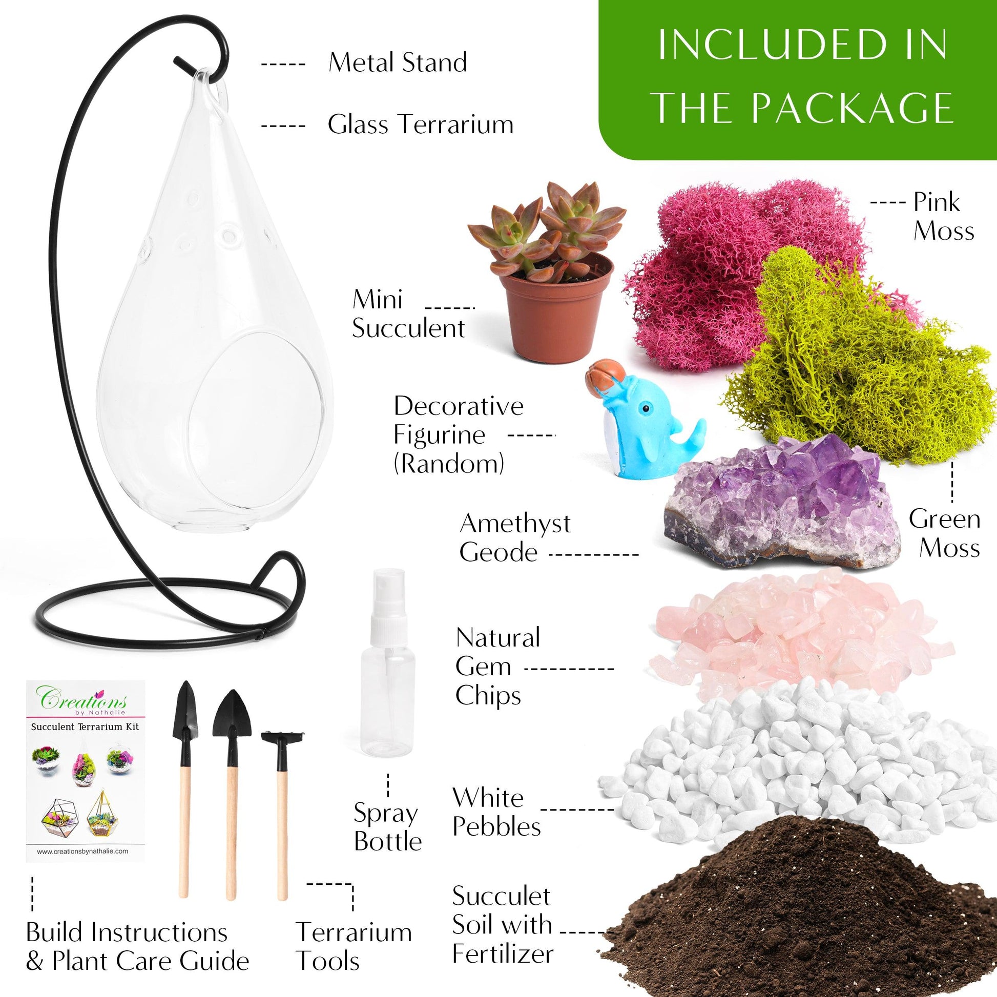 7" Glass Tear Drop Succulent Terrarium Kit - Tampa Home & Garden Store