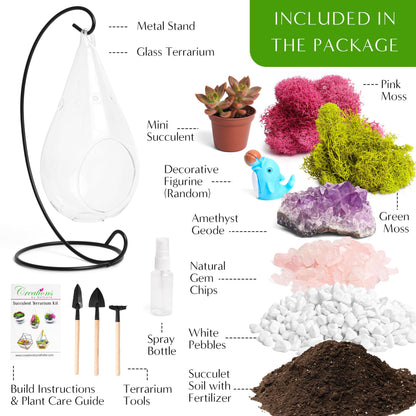 7" Glass Tear Drop Succulent Terrarium Kit - Tampa Home & Garden Store