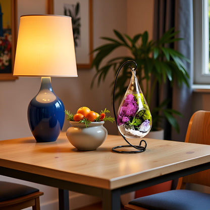 7" Glass Tear Drop Succulent Terrarium Kit - Tampa Home & Garden Store