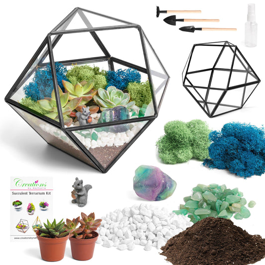 7” Black Glass Succulent Terrarium Kit | Geometric