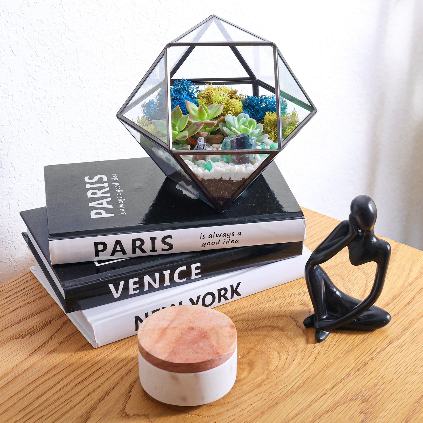 7” Black Glass Succulent Terrarium Kit | Geometric