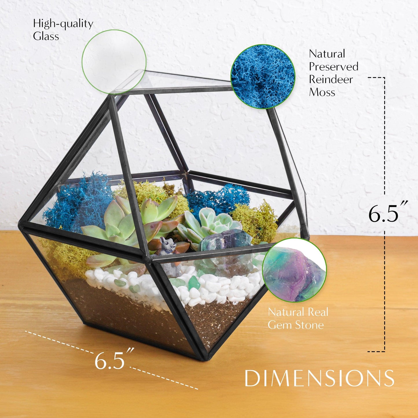 7” Black Glass Succulent Terrarium Kit | Geometric