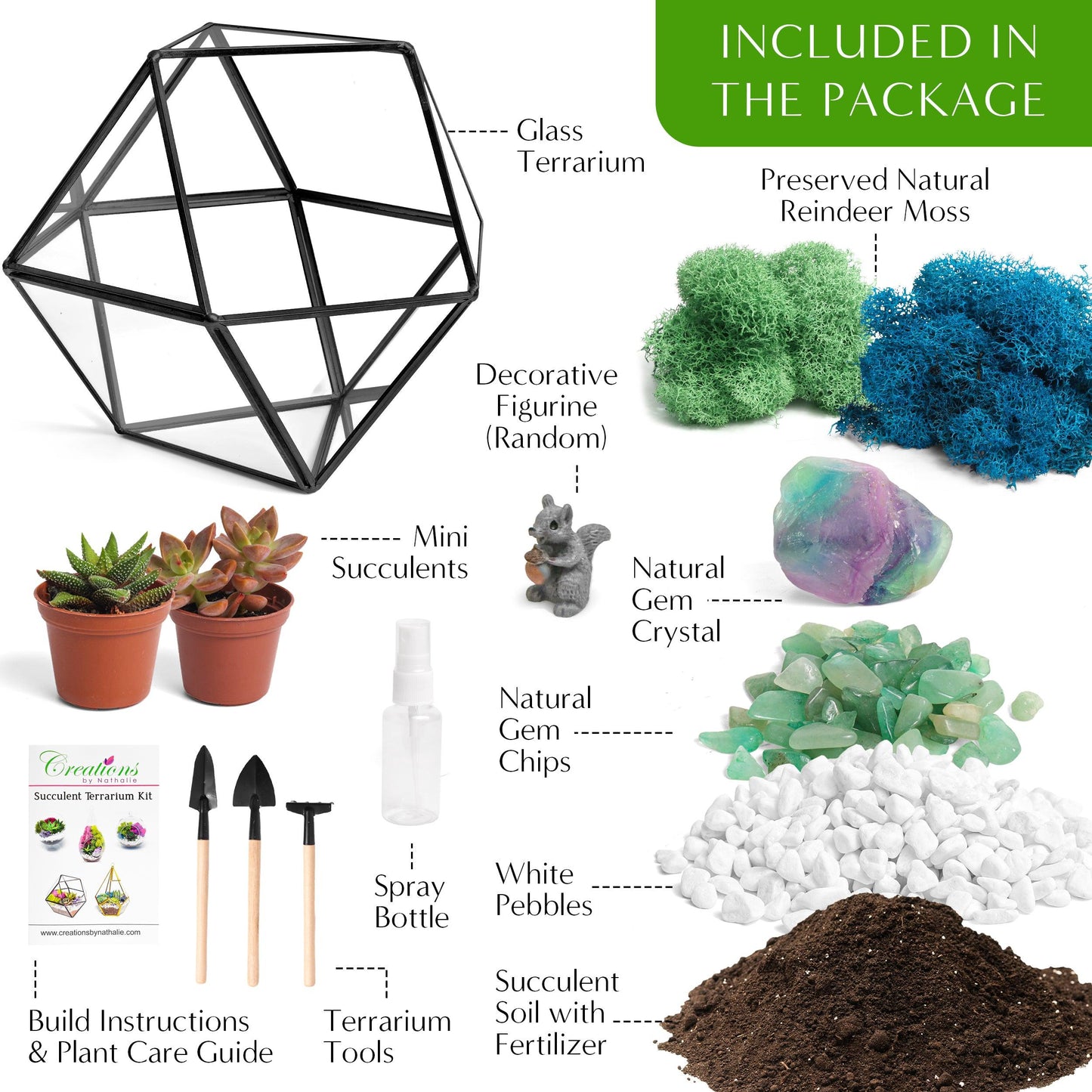 7” Black Glass Succulent Terrarium Kit | Geometric