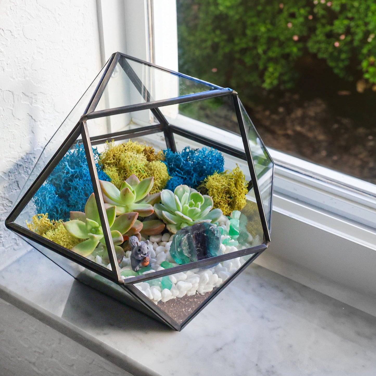 7” Black Glass Succulent Terrarium Kit | Geometric