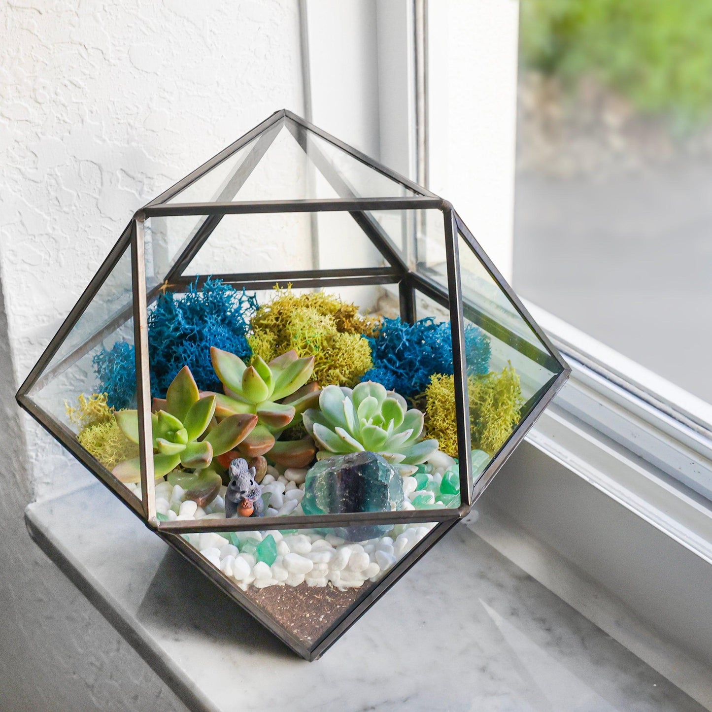 7” Black Glass Succulent Terrarium Kit | Geometric