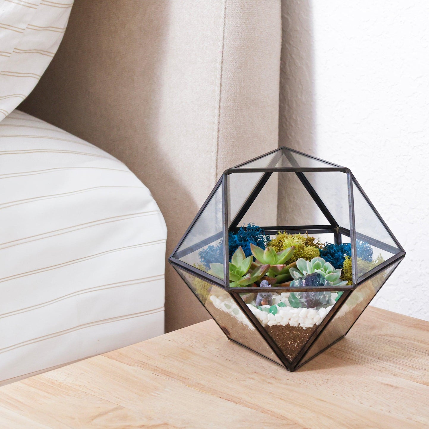 7” Black Glass Succulent Terrarium Kit | Geometric