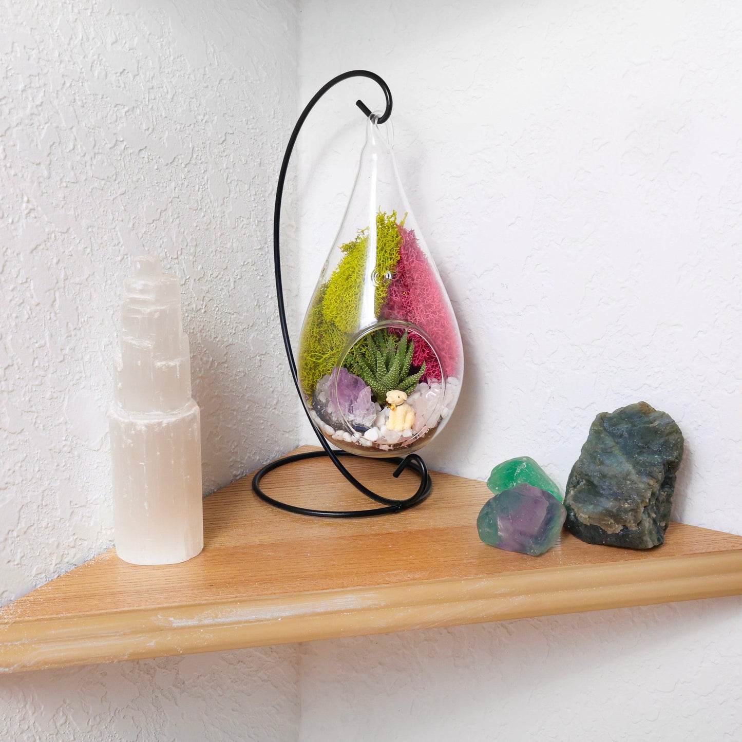 7" Glass Tear Drop Succulent Terrarium Kit