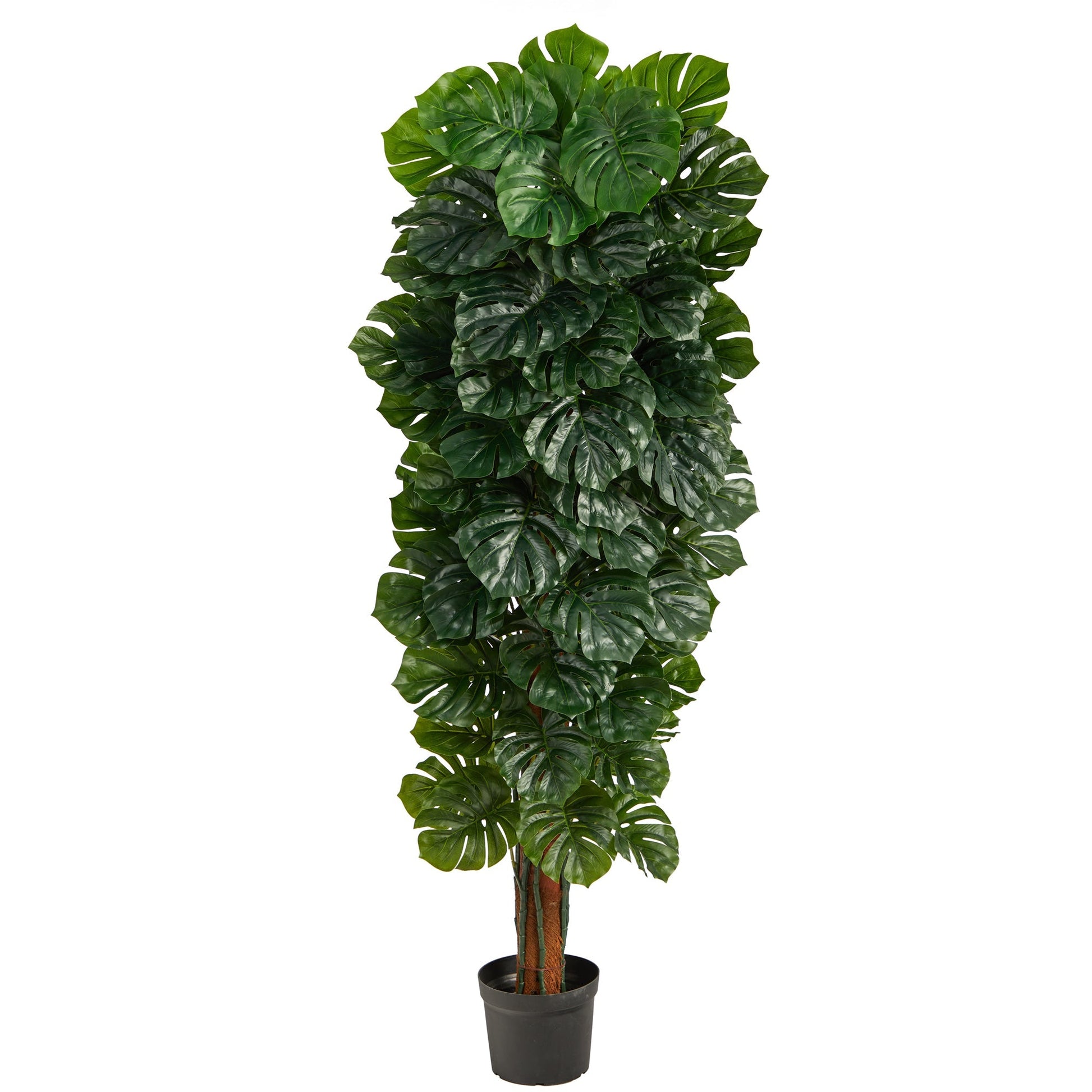 70” Monstera Artificial Tree (Indoor/Outdoor) - Tampa Home & Garden Store
