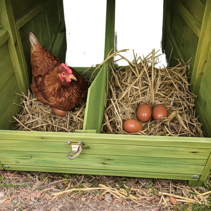 70-Inch wooden chicken coop with nesting box, perch, straw bedding and eggs in green coop on Tampa Home & Garden Store