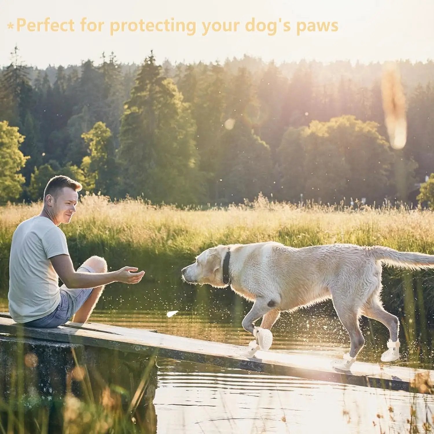 Indoor Dog Boots — Non-Slip Shoes for Floors, white booties on a dog's paws, Max & Rex on Tampa Home & Garden Store