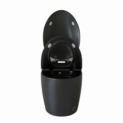 Smart Toilet With Ceramic Bidet Matte Black by HouseOfZazla on Tampa Home & Garden Store