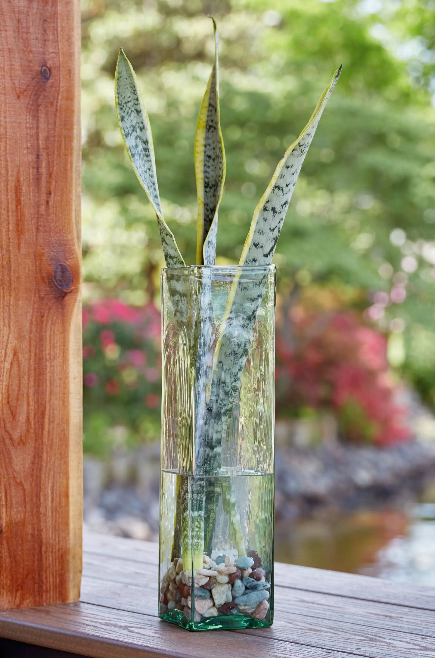Taylow vase with tall variegated snake plant leaves in a clear glass vase on a wooden deck on Tampa Home & Garden Store