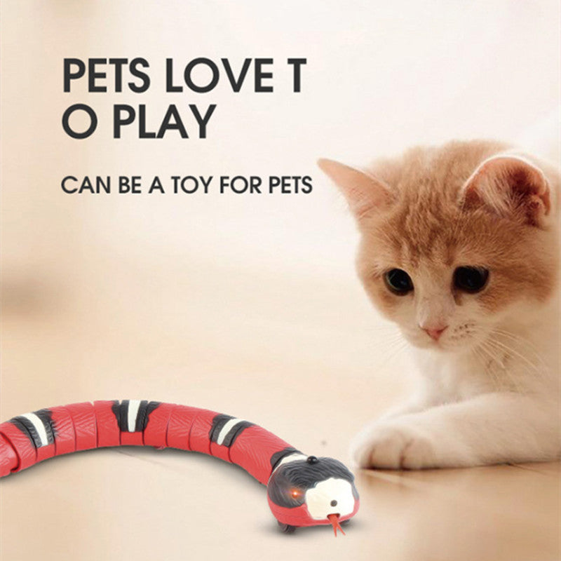 Electric Induction Snake Toy red segmented cat Sell My Stuff Balls and Chasers on Tampa Home & Garden Store