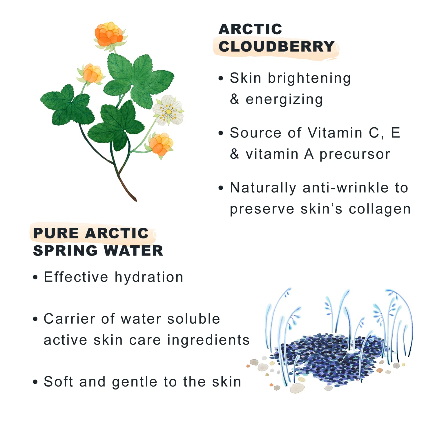 Lumene Nordic-C Vitamin C Cream SPF30 infographic by Beauty Care Bag with Arctic Cloudberry on Tampa Home & Garden Store