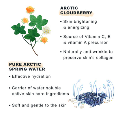 Lumene Nordic-C Vitamin C Cream SPF30 infographic by Beauty Care Bag with Arctic Cloudberry on Tampa Home & Garden Store