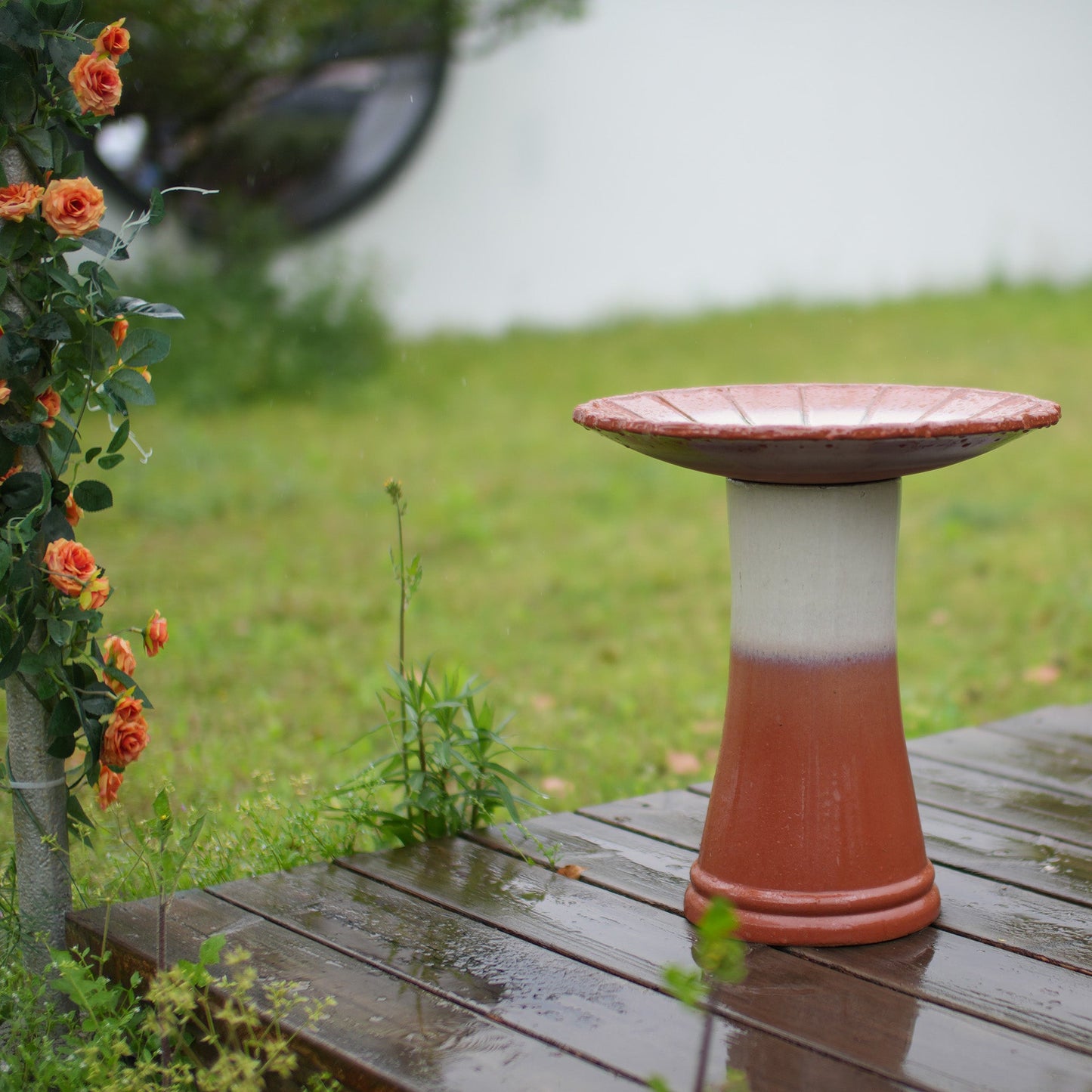 HouseOfZazla handmade glazed ceramic bird bath on a two-tone pedestal beside orange roses on Tampa Home & Garden Store