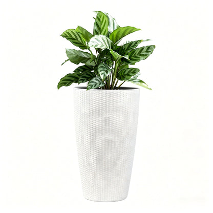 Tall white woven planters set with variegated green plant, three stacked pots by HouseOfZazla on Tampa Home & Garden Store