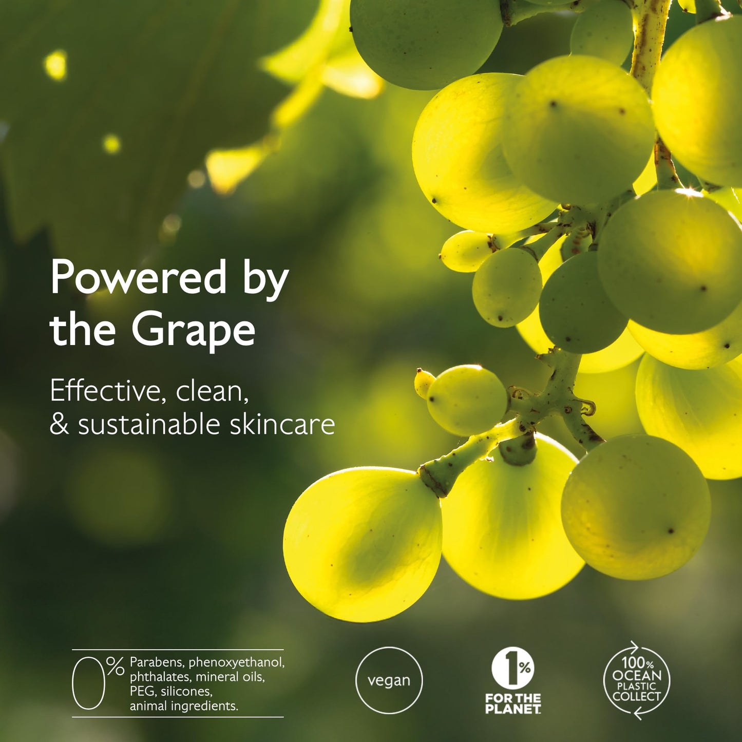 Sunlit close-up of green and yellow grape clusters on a vine with eco badges overlay on Tampa Home & Garden Store