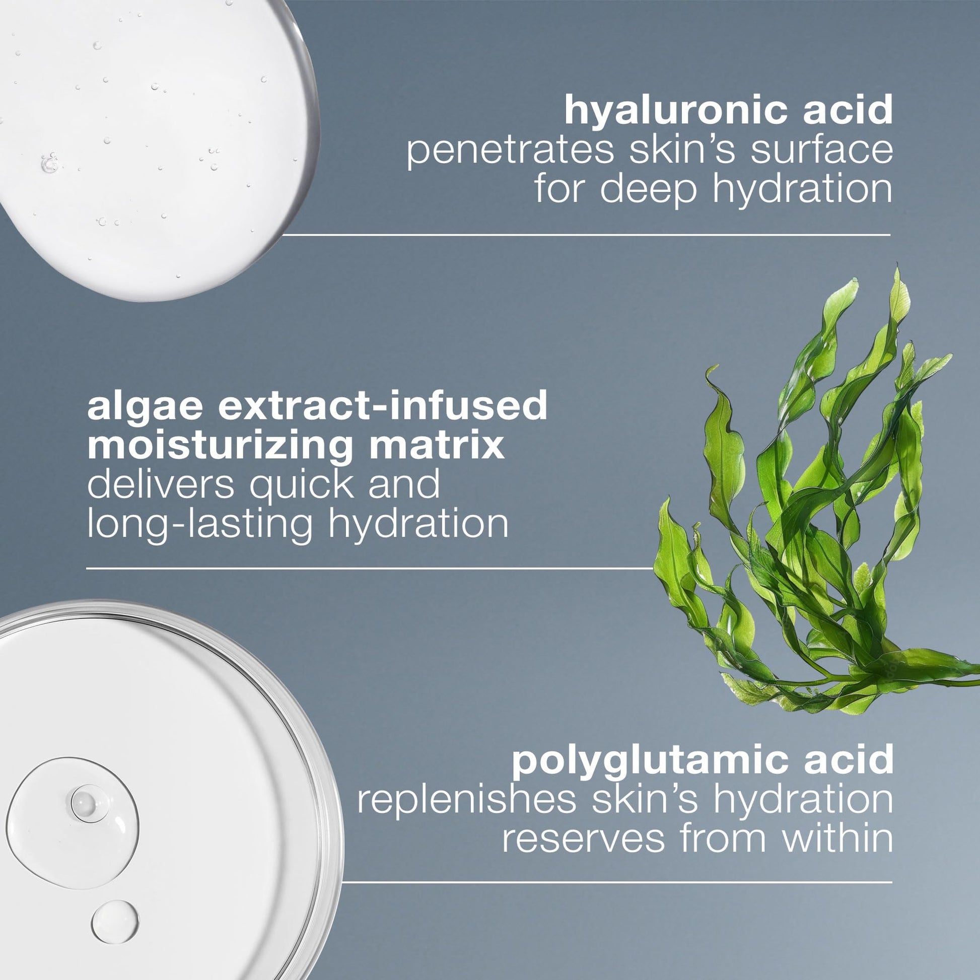 Dermalogica Circular Hydration Serum jar lid with droplets on white surface hyaluronic acid on Tampa Home & Garden Store