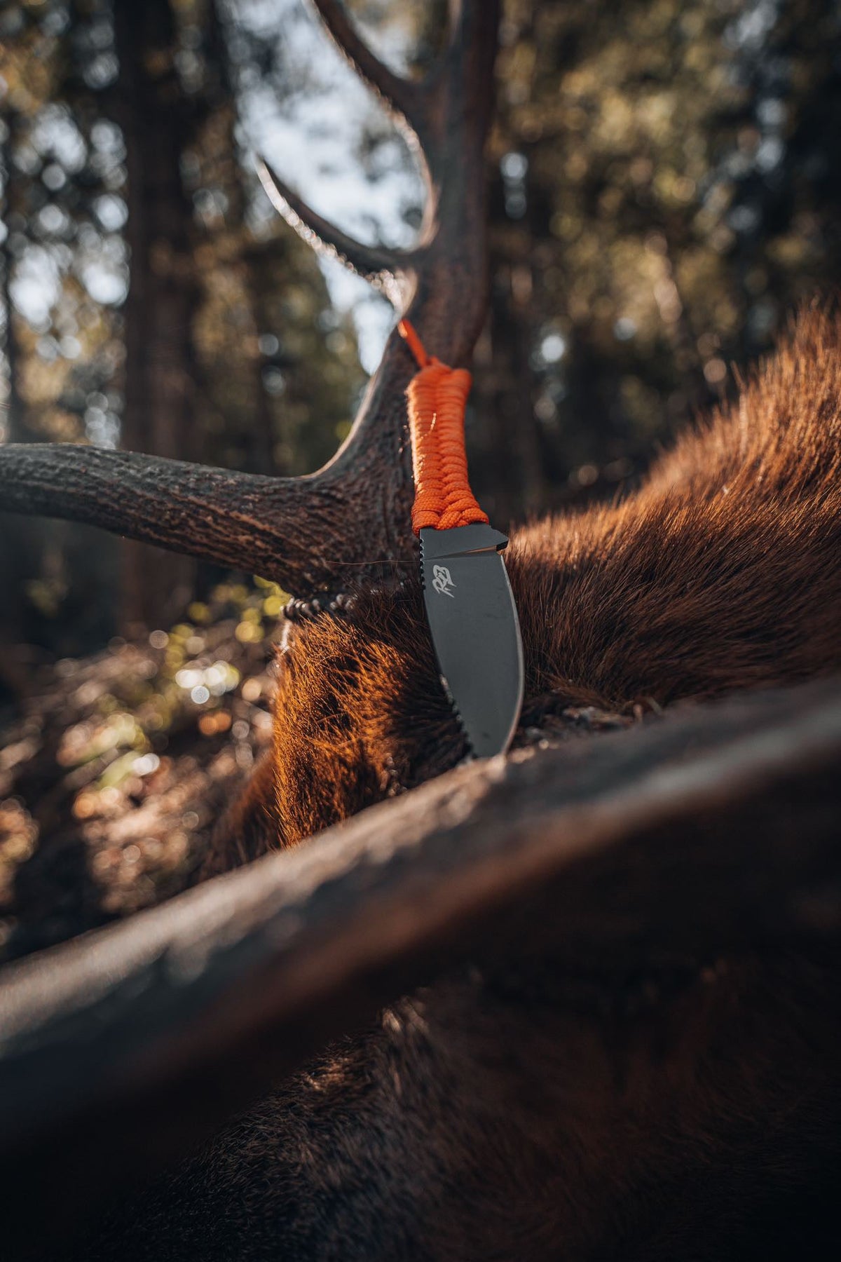 Ultralight Ridge Blade knife with orange paracord handle and gray blade outdoors on fur backdrop on Tampa Home & Garden Store