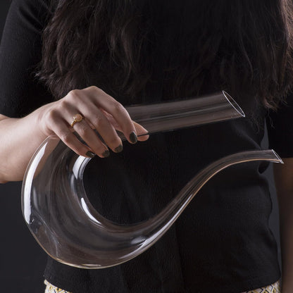 Curved Glass Wine Decanter and Aerator 25 Oz