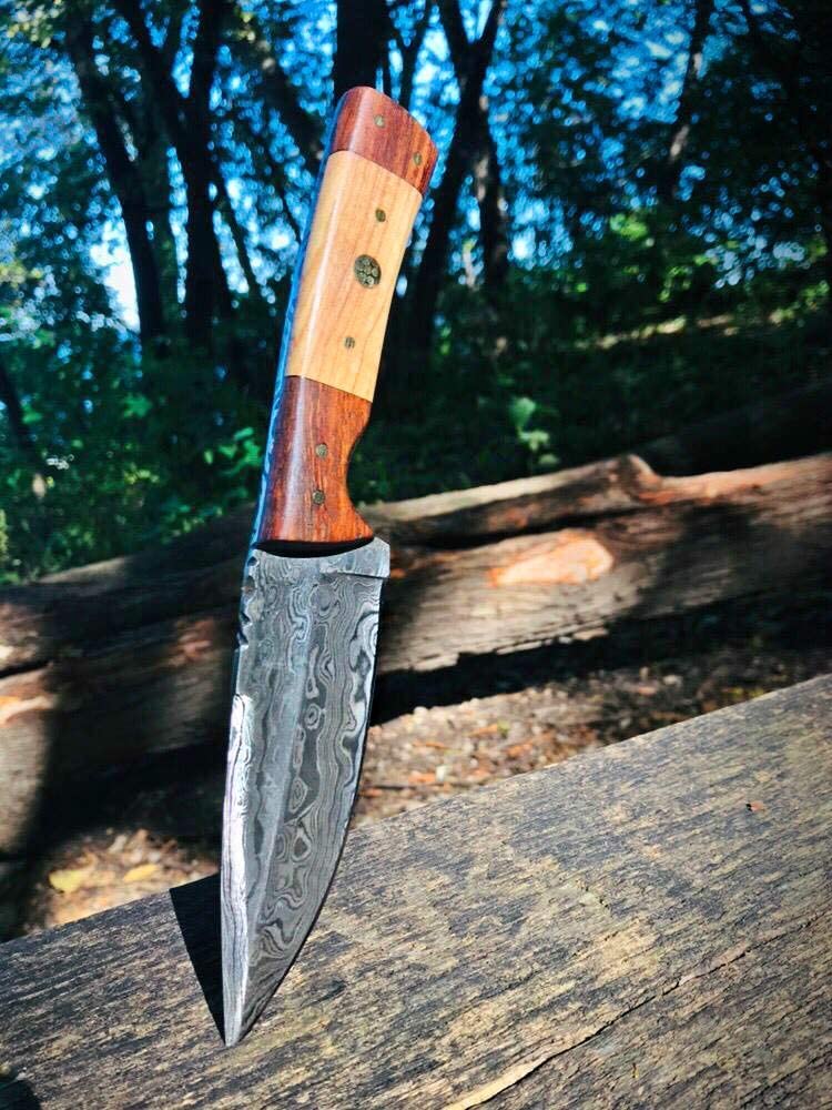 9in TD-087 Damascus blade knife with two-tone wood handle on Tampa Home & Garden Store
