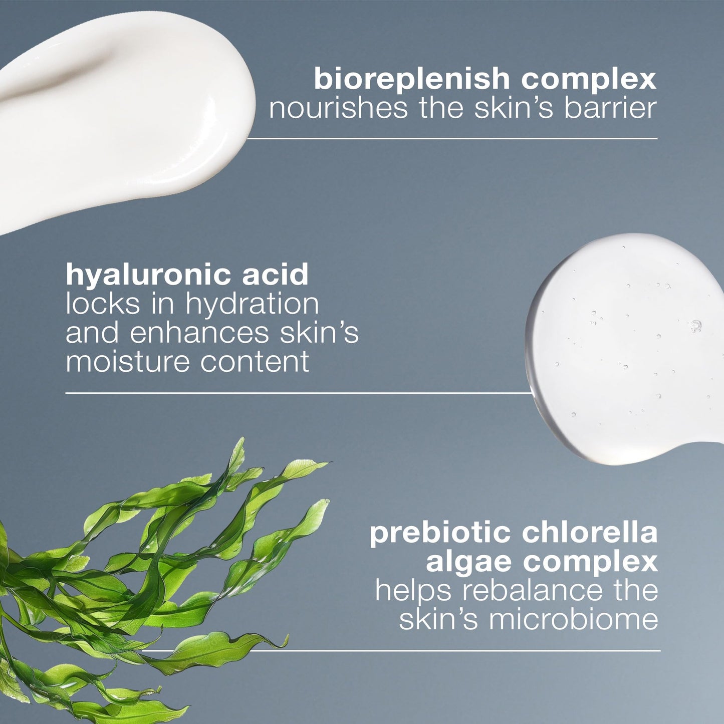 Dermalogica Intensive Moisture Balance for dry skin with hyaluronic acid & prebiotic complex on Tampa Home & Garden Store