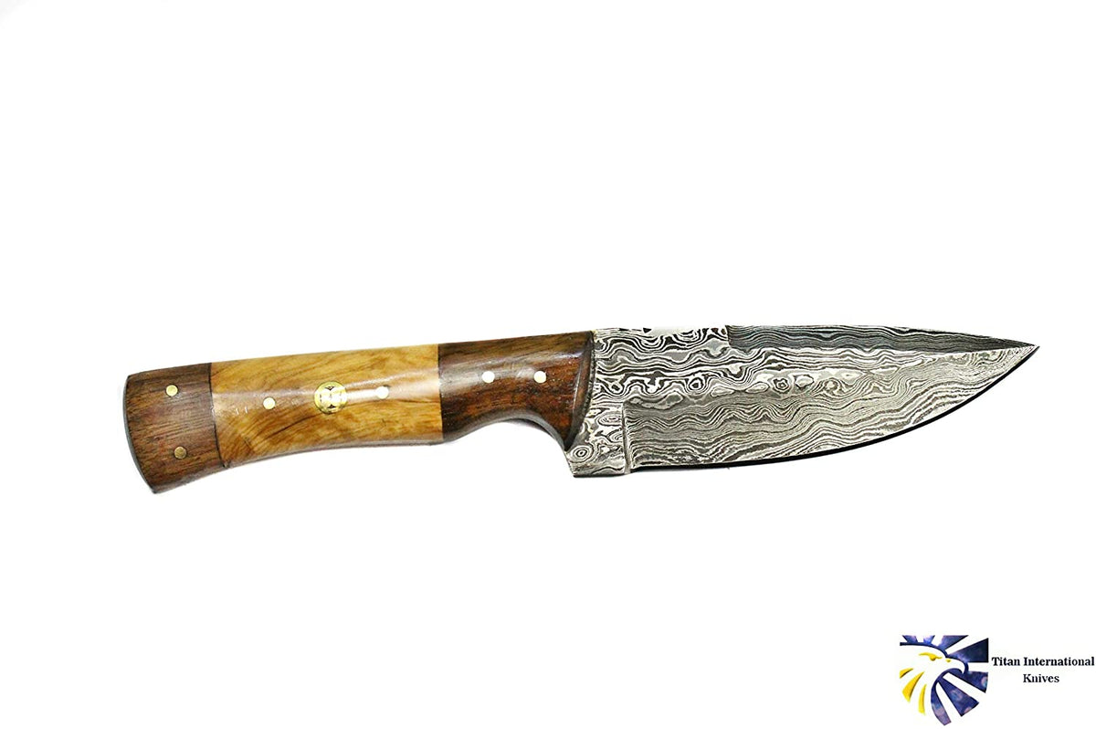 9-inch Damascus-pattern knife with two-tone wood handle and brass pins Titan TD-087 on Tampa Home & Garden Store