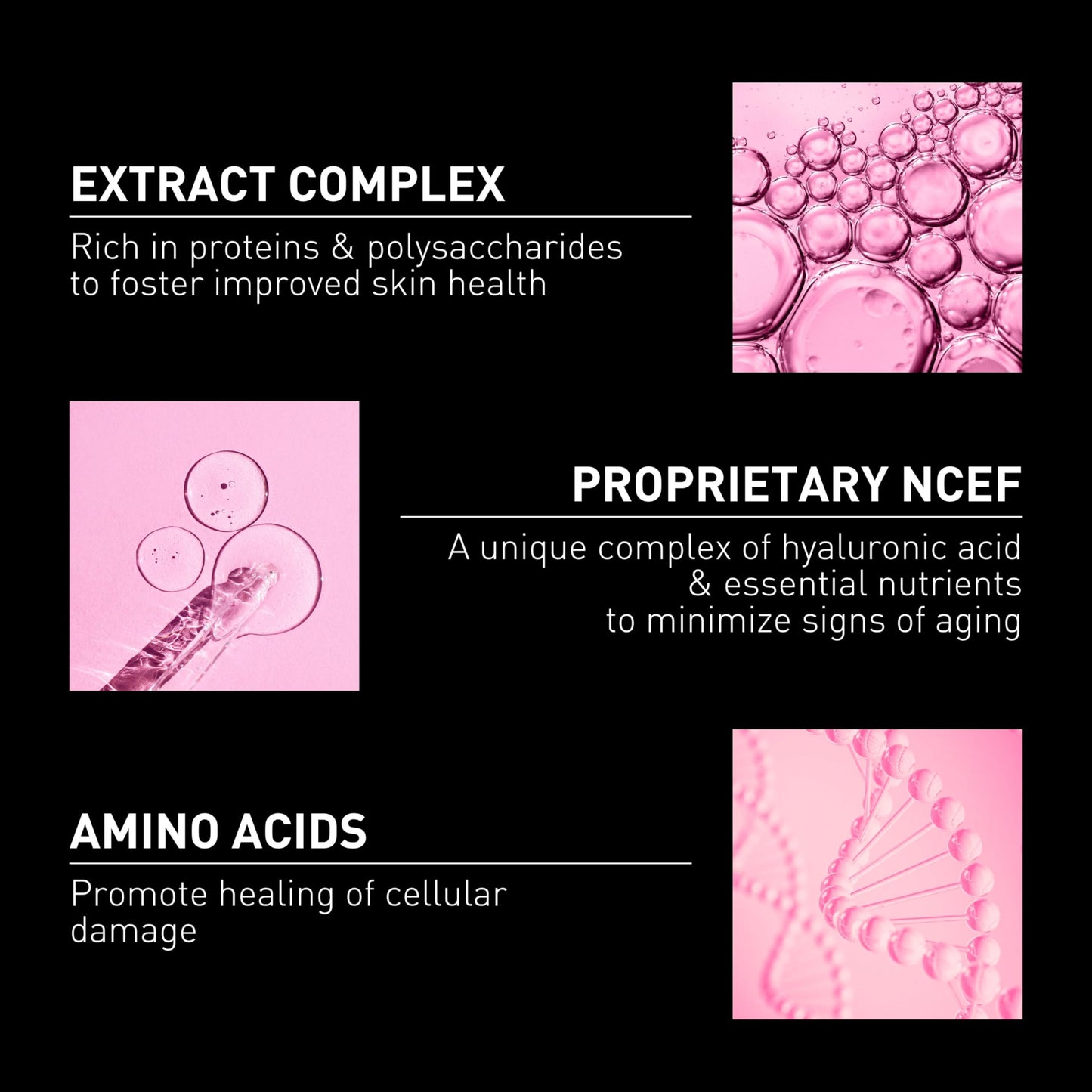 Filorga Skincare Serum NCEF-Shot face serum by Beauty Care Bag with amino acids graphic on Tampa Home & Garden Store