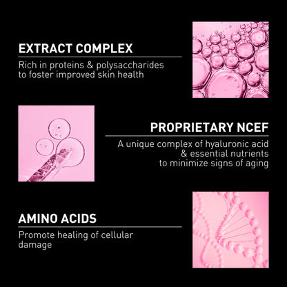 Filorga Skincare Serum NCEF-Shot face serum by Beauty Care Bag with amino acids graphic on Tampa Home & Garden Store