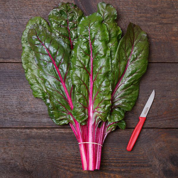 True Magenta Swiss chard bundle with magenta stems and dark green leaves on a wooden table on Tampa Home & Garden Store