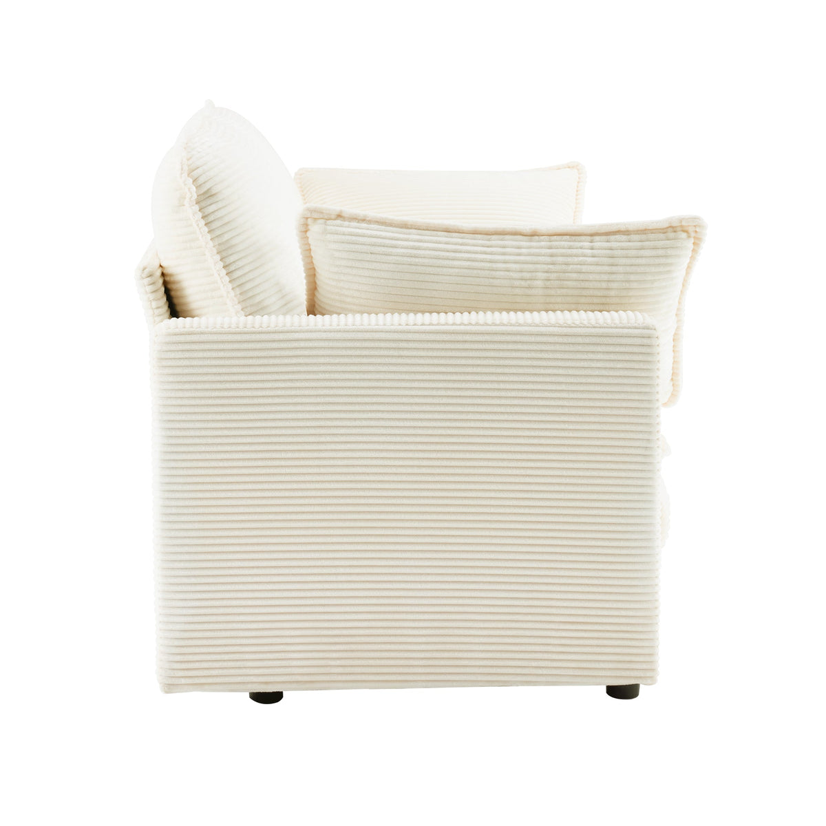 The Plush Cloud and Modular 2 Seater Sofa