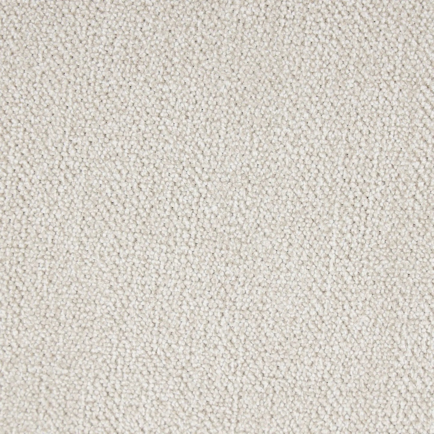 Beige loop-pile carpet close-up showing dense texture and neutral shade on Tampa Home & Garden Store