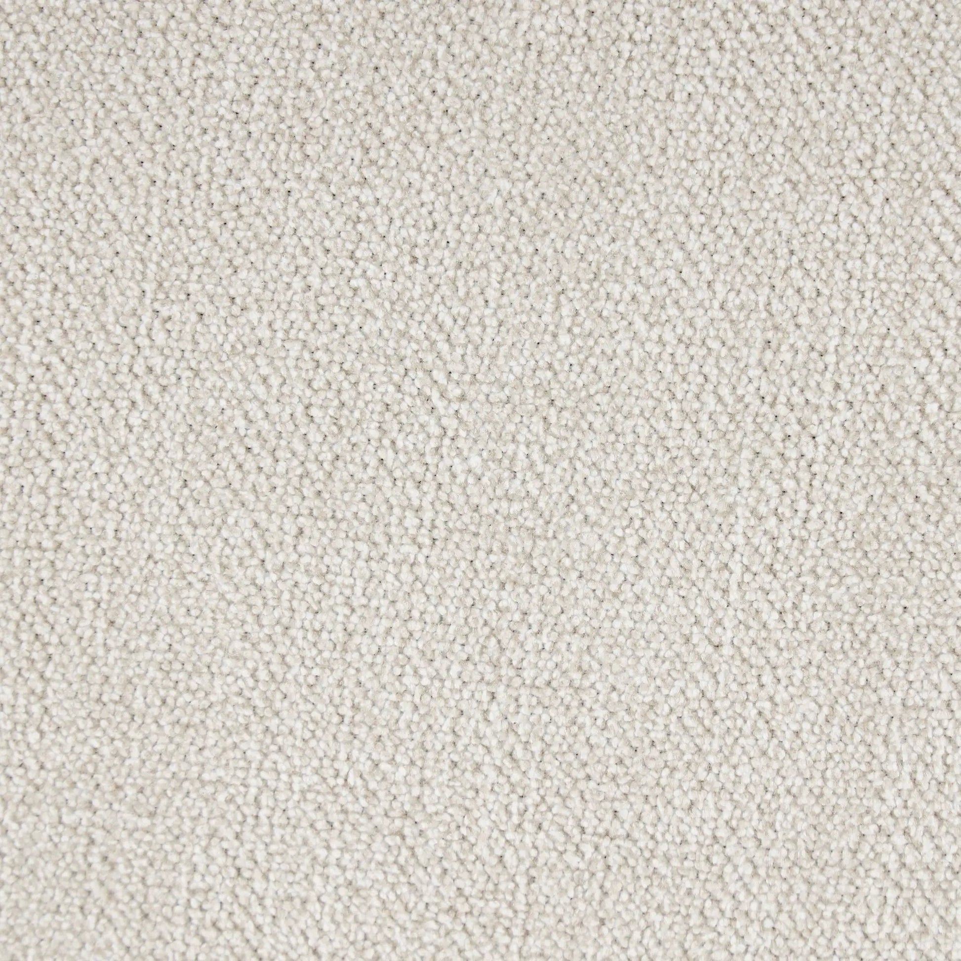 Beige loop-pile carpet close-up showing dense texture and neutral shade on Tampa Home & Garden Store
