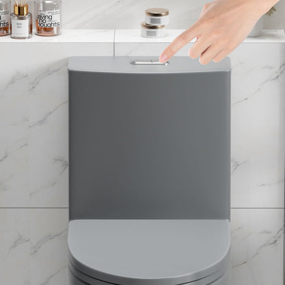 One-piece gray toilet with top chrome flush button, ADA height on Tampa Home & Garden Store