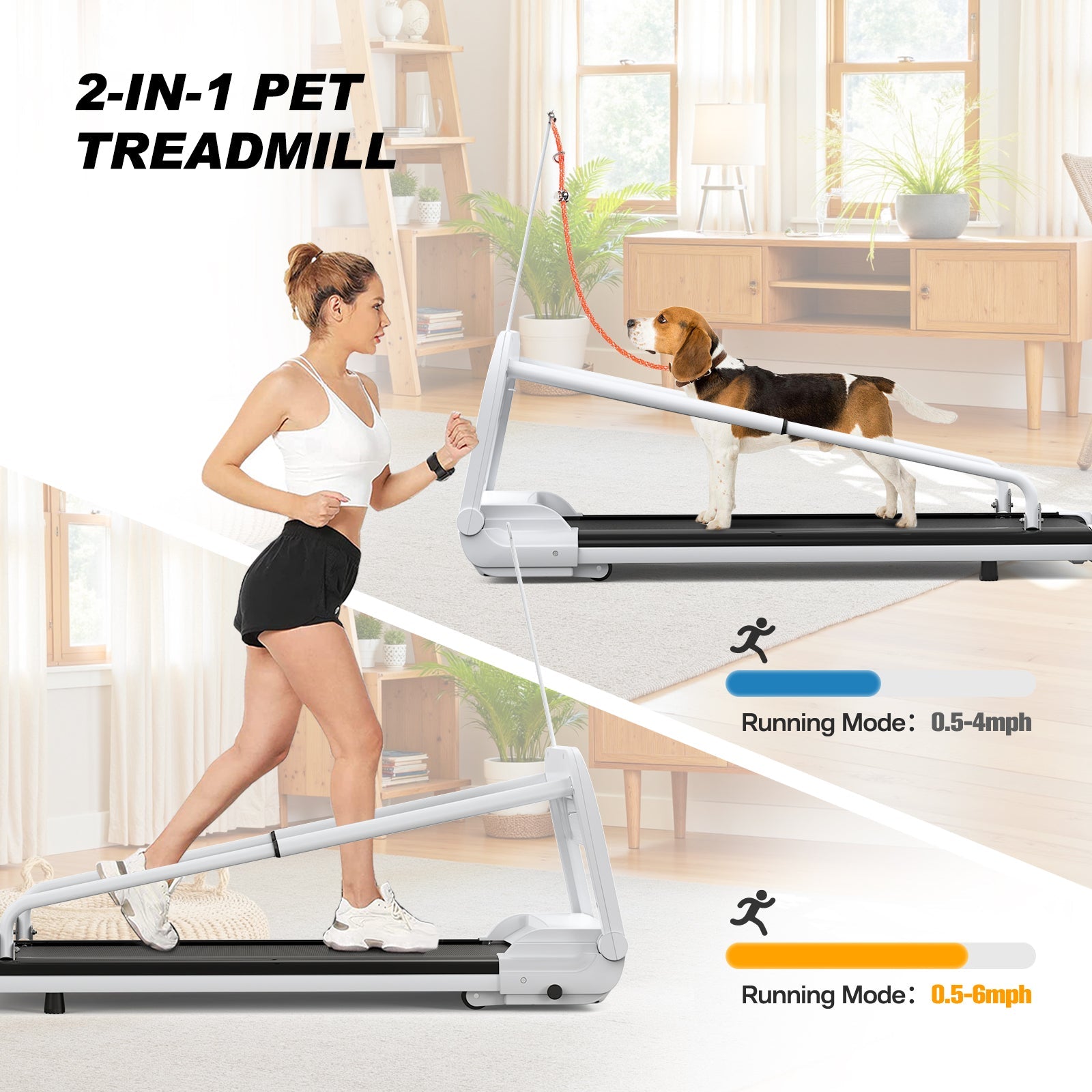 2-in-1 Pet Treadmill by HouseOfZazla, white/silver frame, indoor home gym scene with dog on Tampa Home & Garden Store