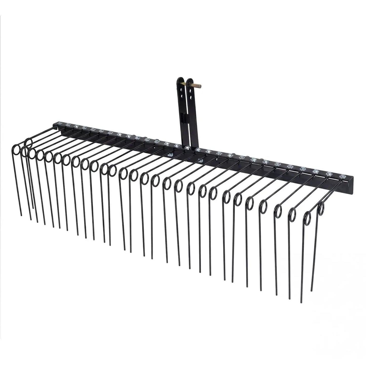 Pine Straw Rake with 30 Coil Tines for Grass