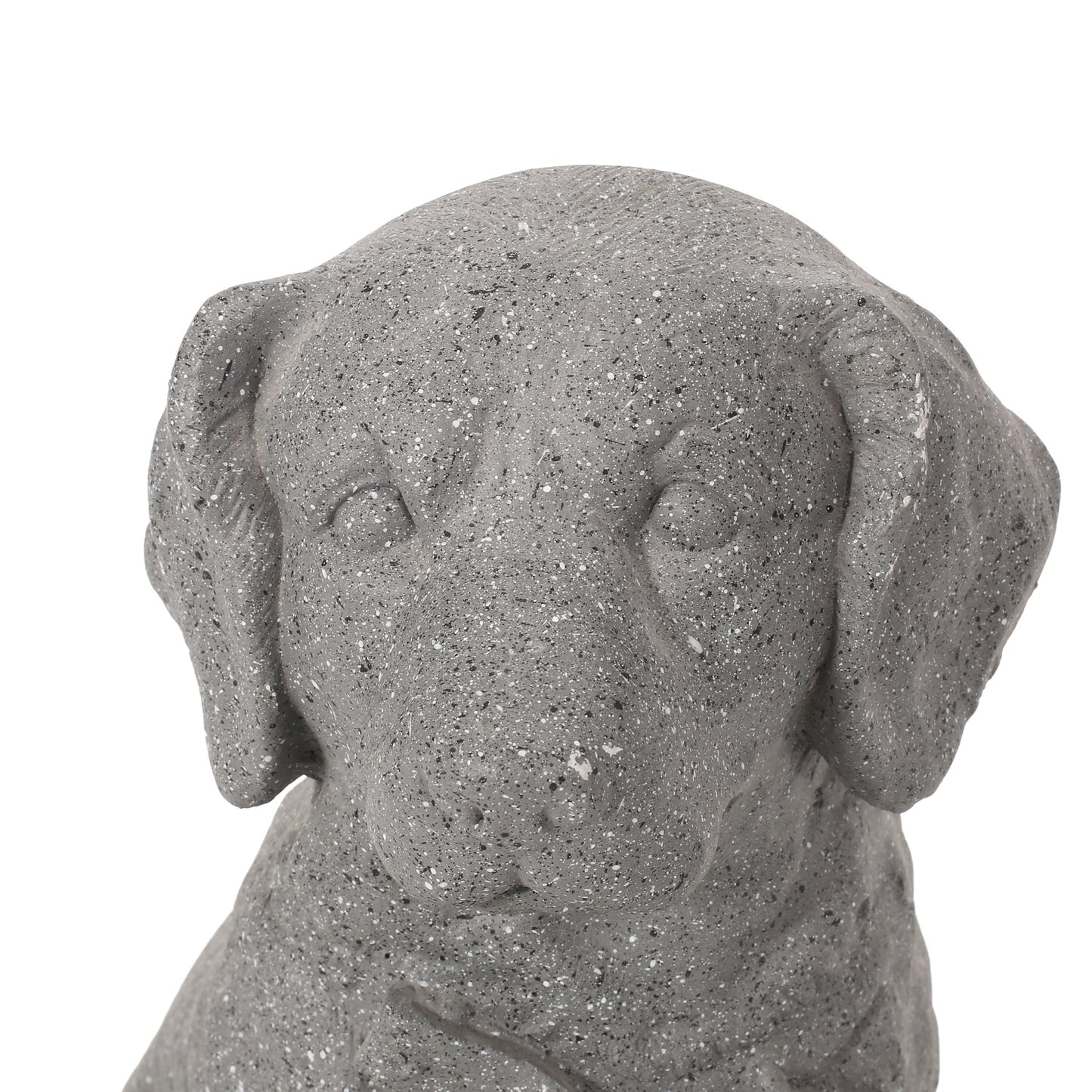 A Gray Mgo Dog Statue in Outdoor Garden Decor