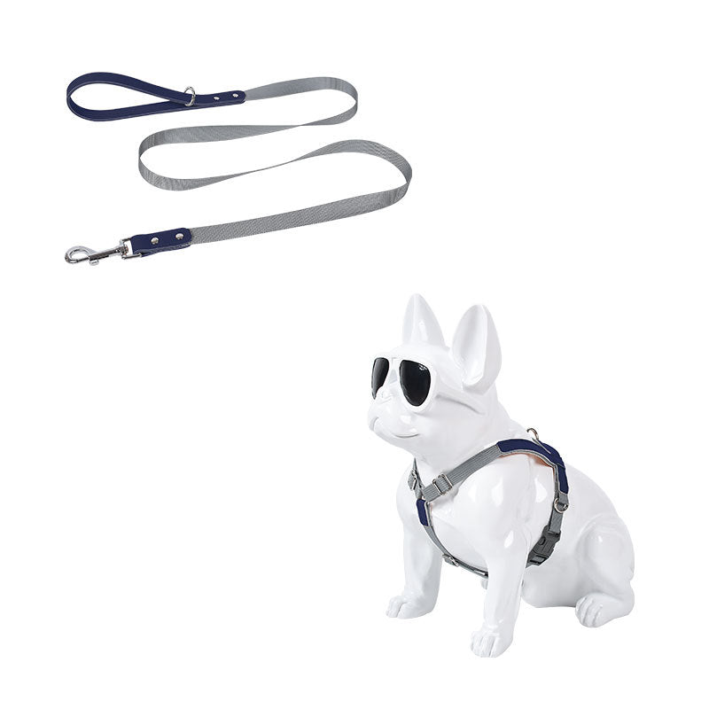Leather dog chest harness with gray nylon leash and blue accents on a white bulldog statue on Tampa Home & Garden Store