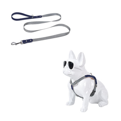 Leather dog chest harness with gray nylon leash and blue accents on a white bulldog statue on Tampa Home & Garden Store