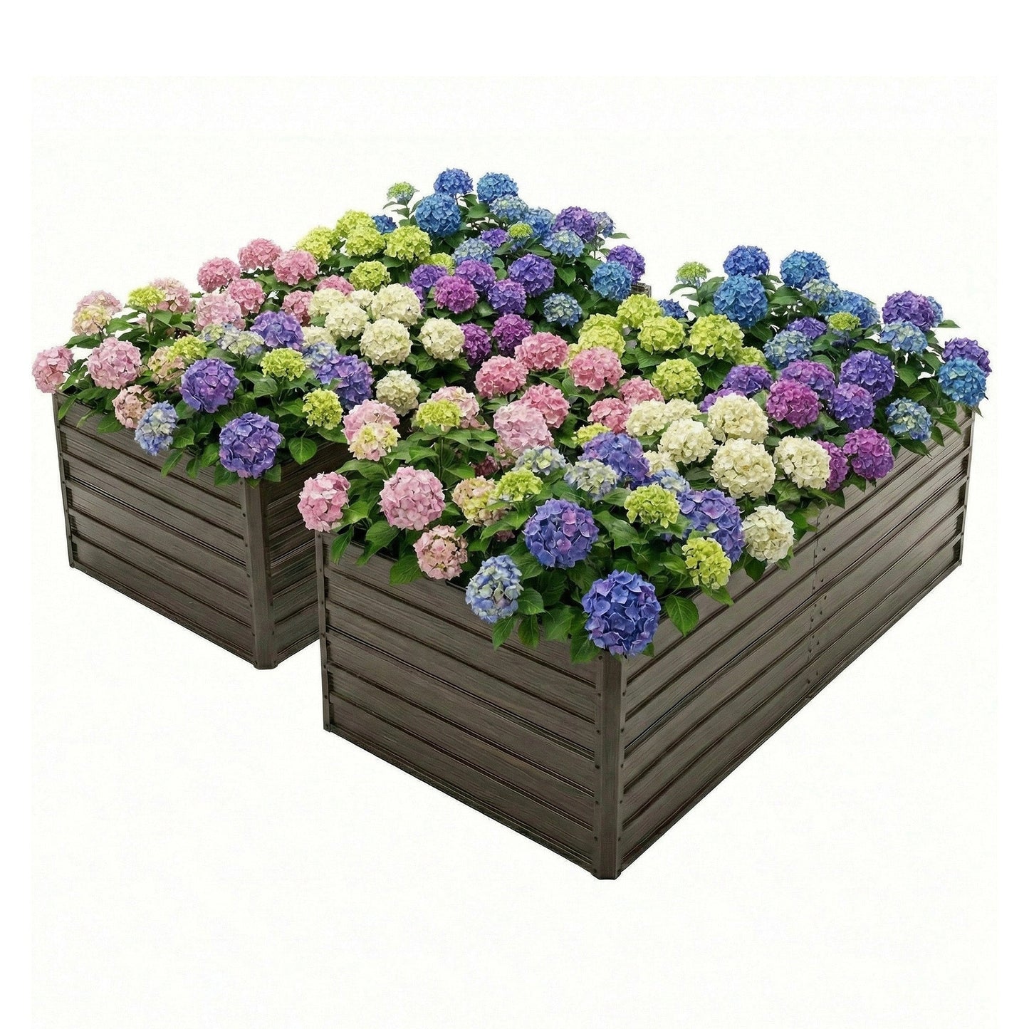 8x4x2 ft woodgrain galvanized raised garden bed set 2-bed HouseOfZazla with hydrangeas on Tampa Home & Garden Store