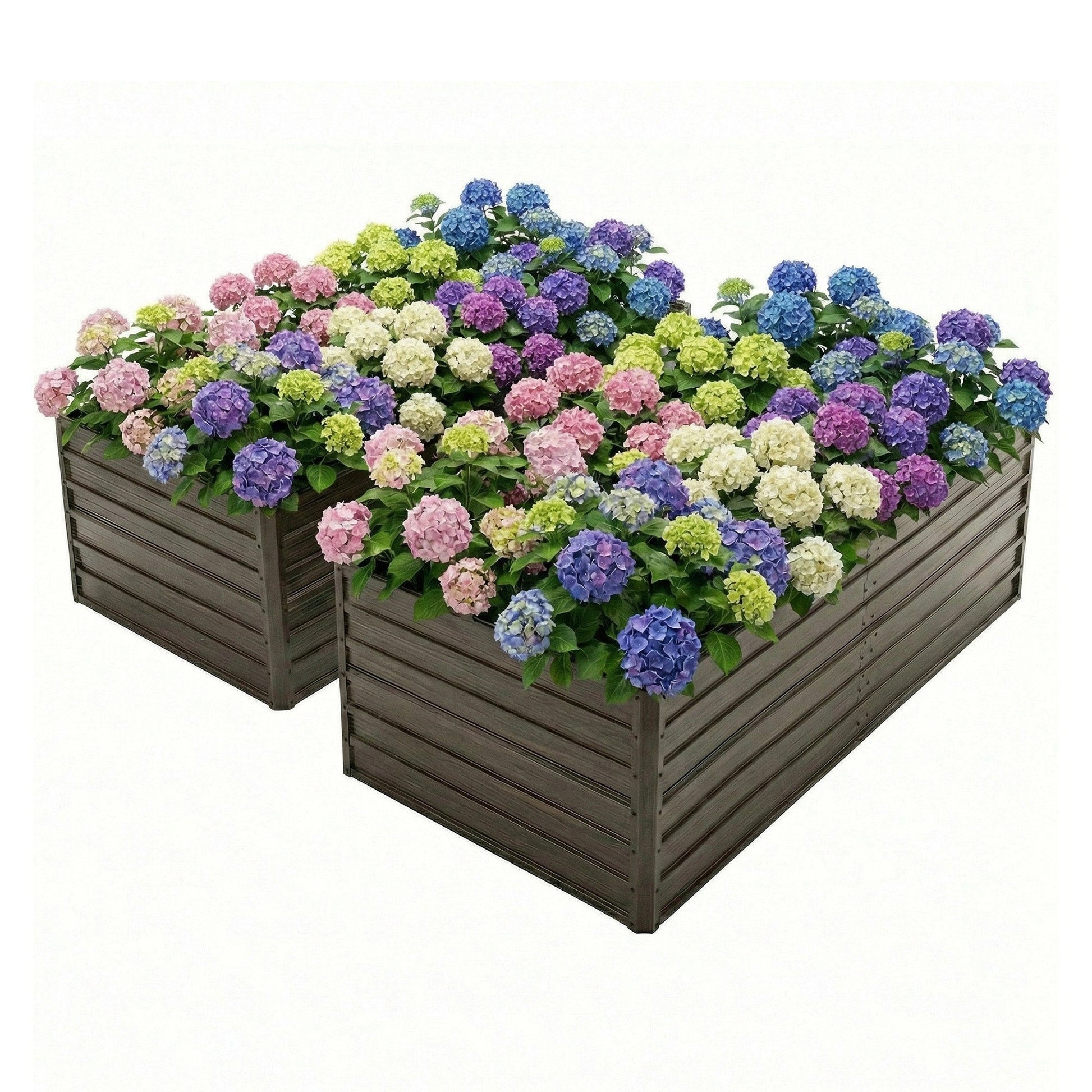 8x4x2 ft woodgrain galvanized raised garden bed set 2-bed HouseOfZazla with hydrangeas on Tampa Home & Garden Store