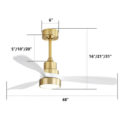 HouseOfZazla indoor ceiling fan in brass finish with white blades and dimmable LED light on Tampa Home & Garden Store