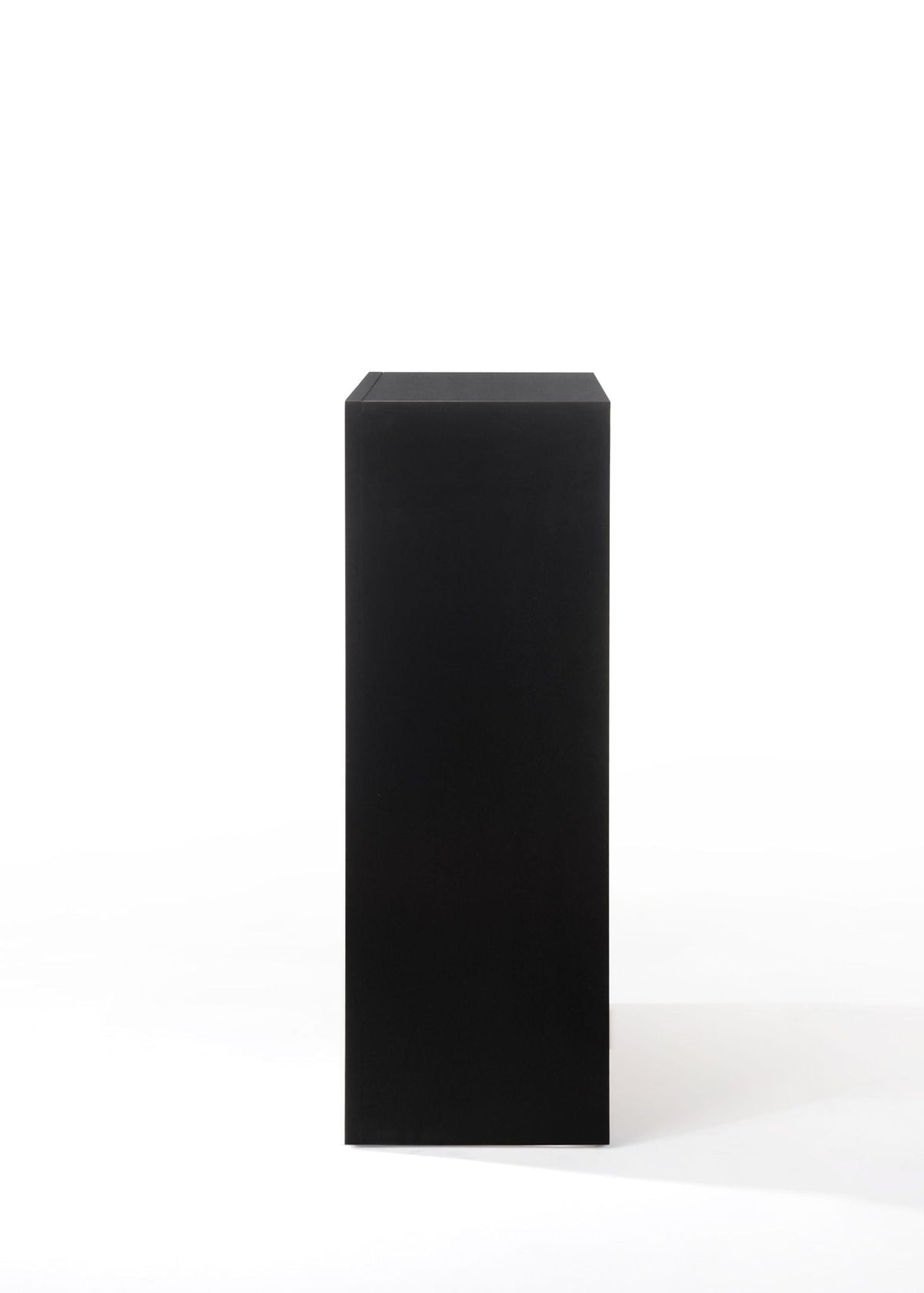 Ireland Elegant Design and Storage Chest tall black accent chest with minimalist silhouette on Tampa Home & Garden Store