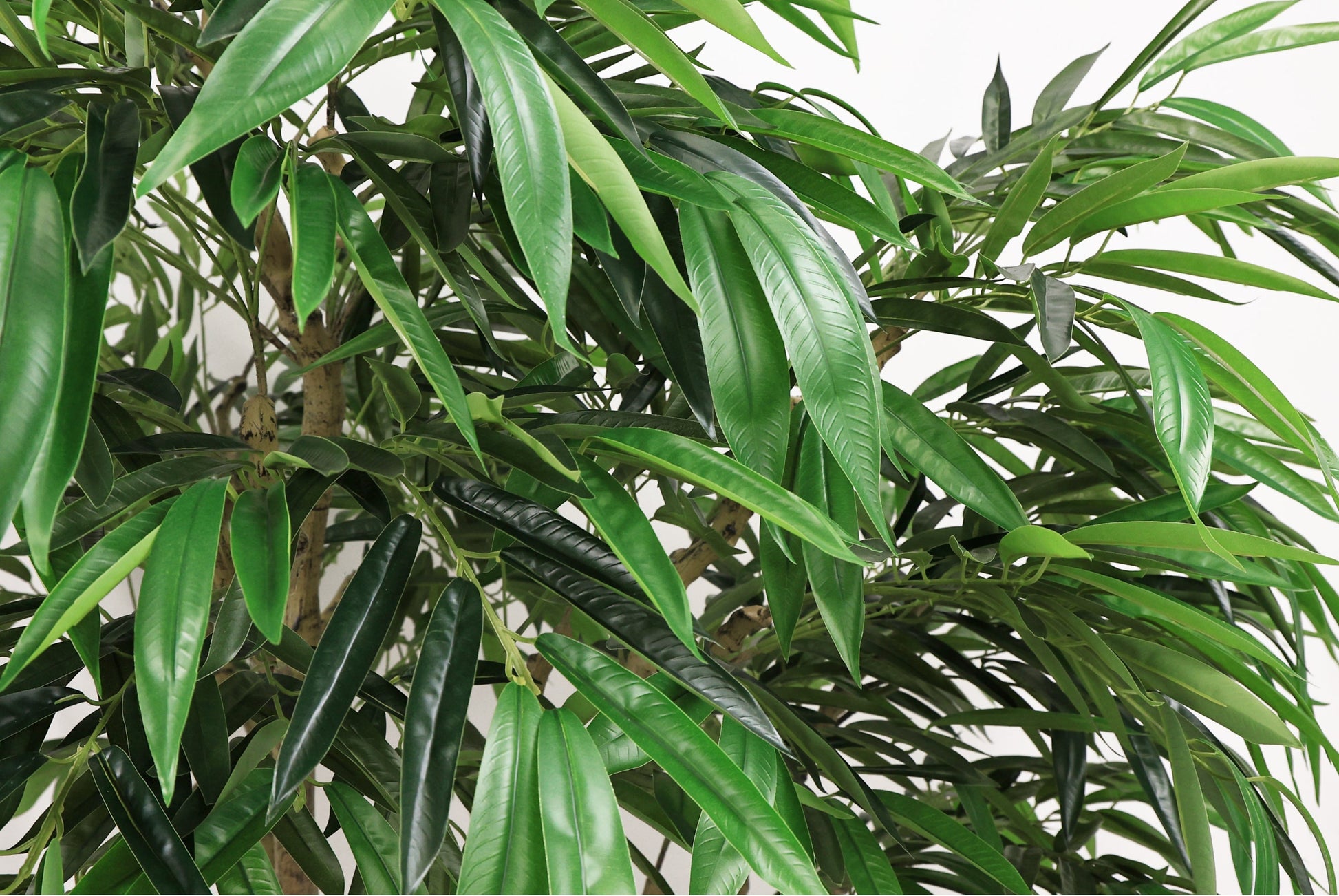 7FT artificial willow tree indoor faux greenery plant, HouseOfZazla, lush green slender leaves on Tampa Home & Garden Store
