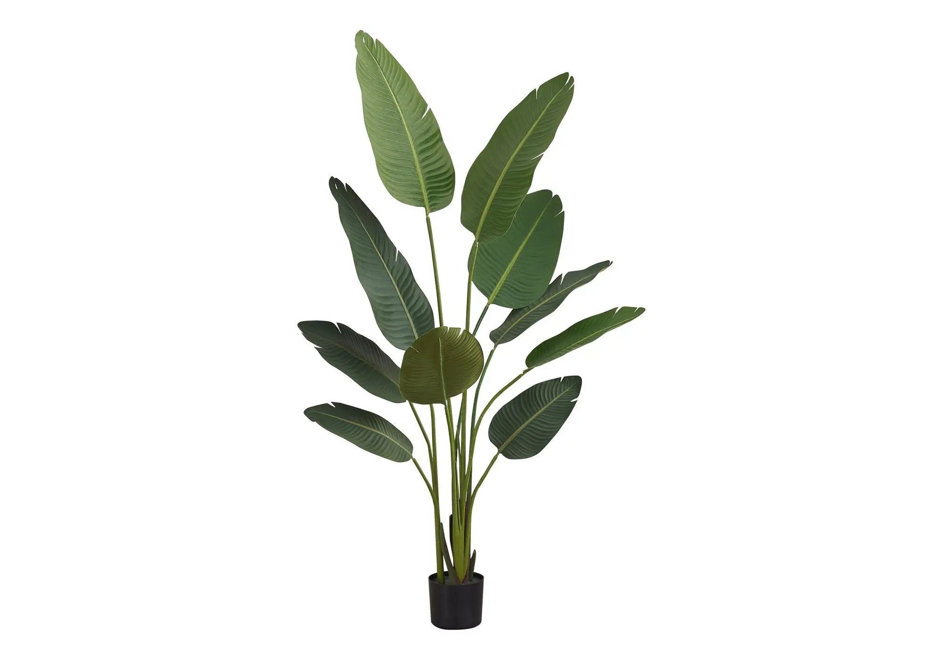 60in tall Bird of Paradise artificial plant in black pot, green leaves - Unique Piece Furniture on Tampa Home & Garden Store