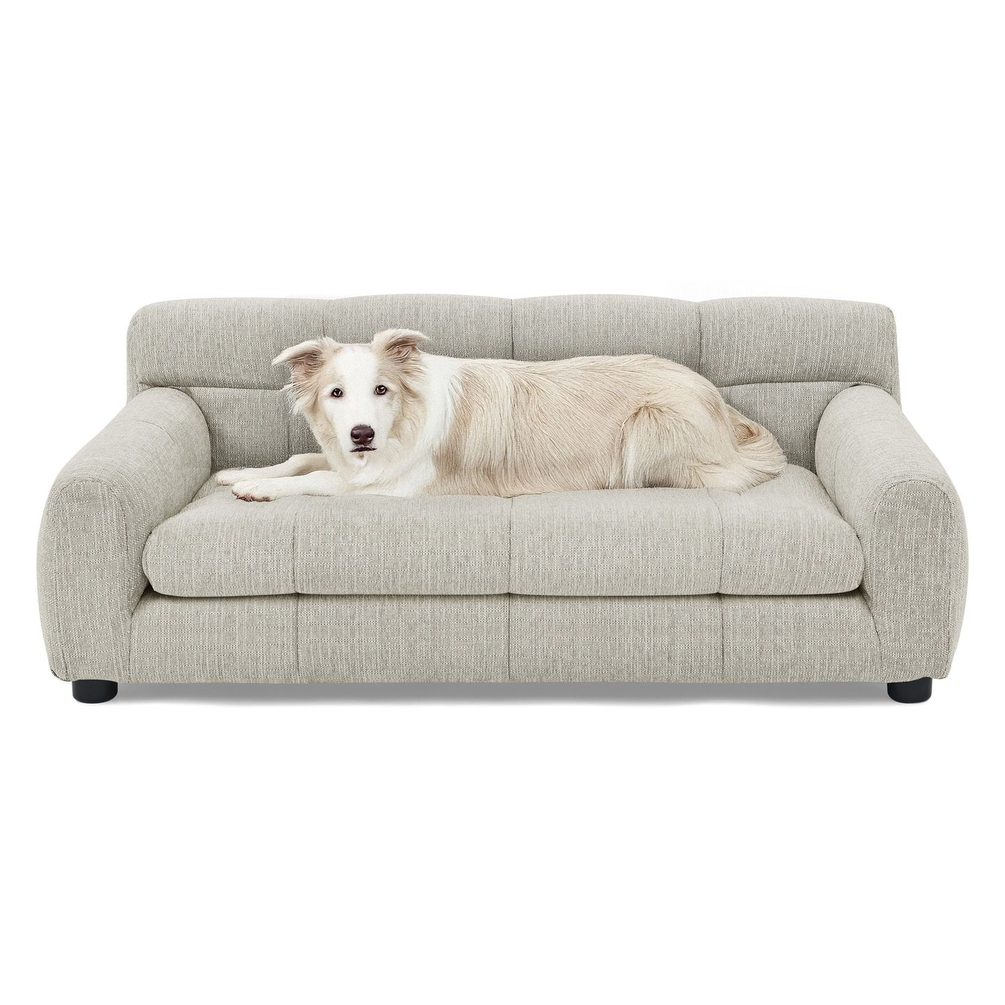 Modern Pet Sofa With Backrest And Armrests in light gray fabric with cushioned arms 1 dog on Tampa Home & Garden Store
